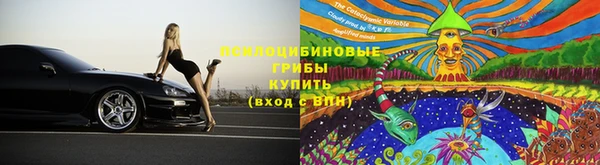 круглые Карталы