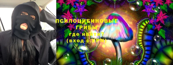 spice Касимов